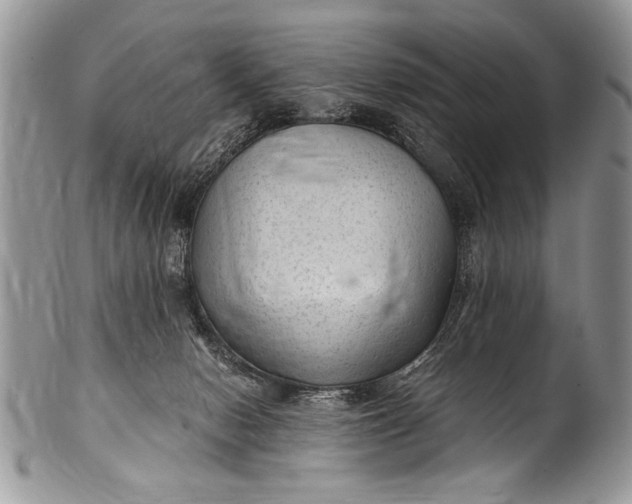 X0000100420078200806201832