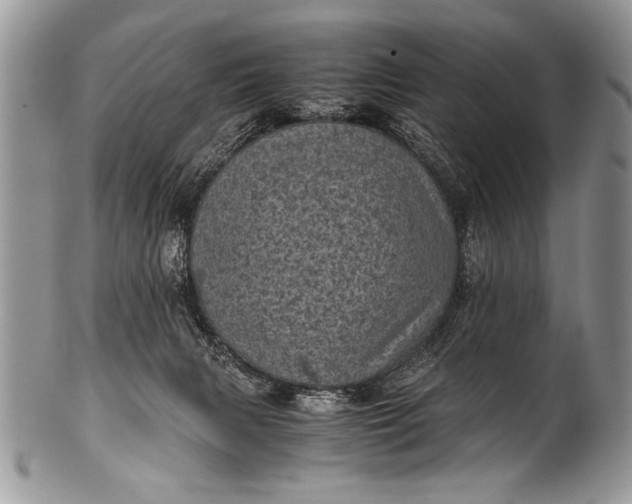 X0000100420079200806201832