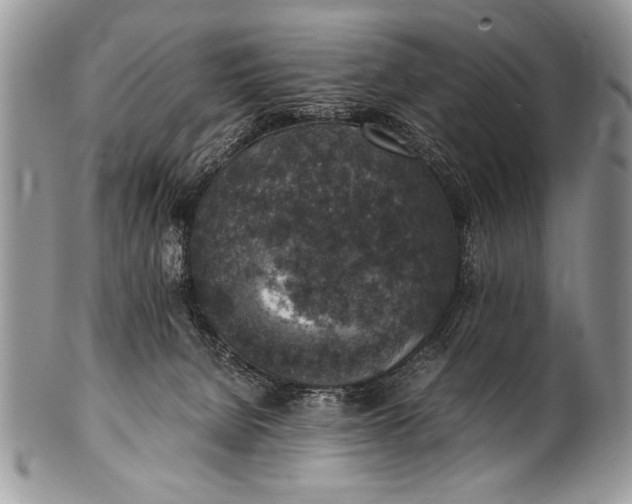X0000100420080200806201832
