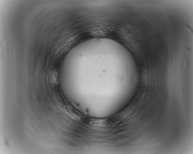 X0000100420081200806201832