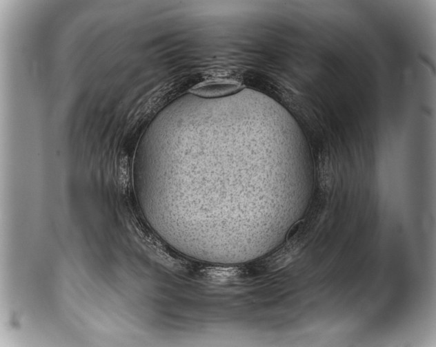 X0000100420085200806201832