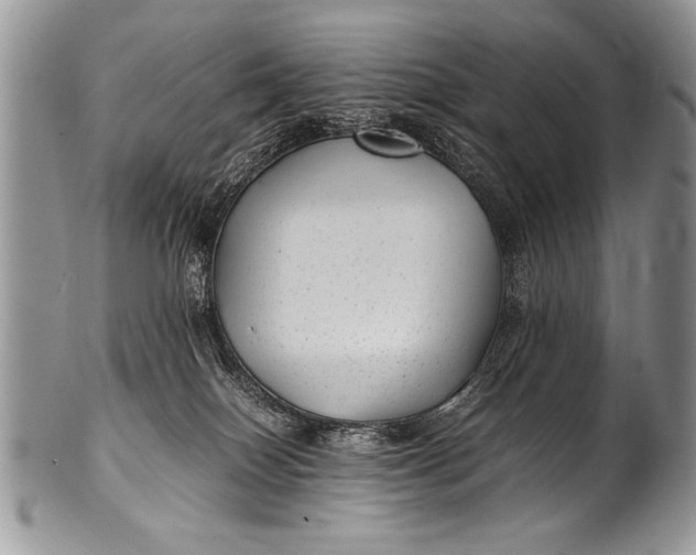 X0000100420086200806201832