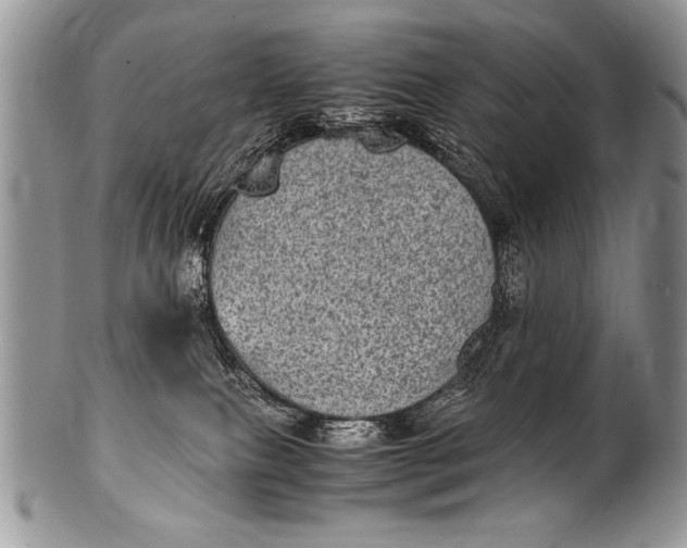 X0000100420087200806201832