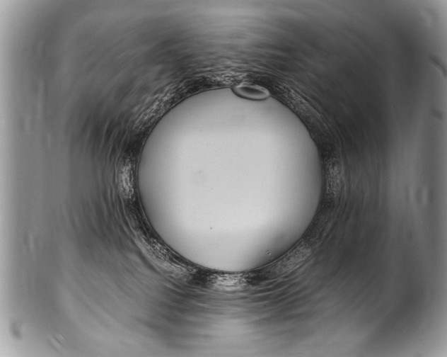 X0000100420088200806201832