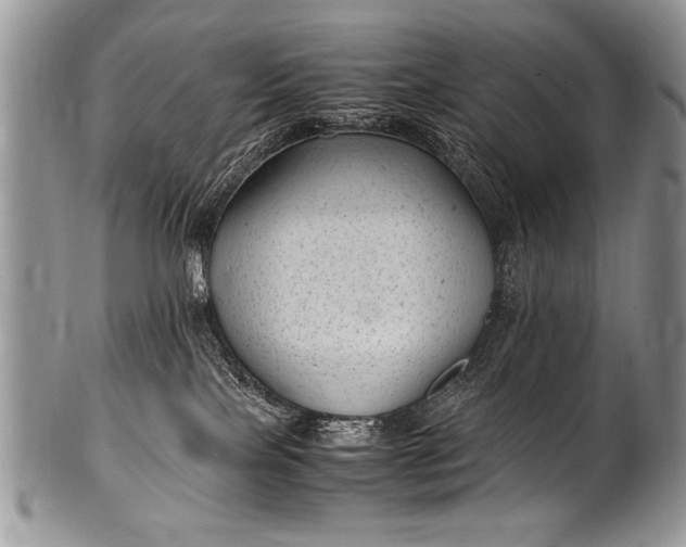 X0000100420089200806201832