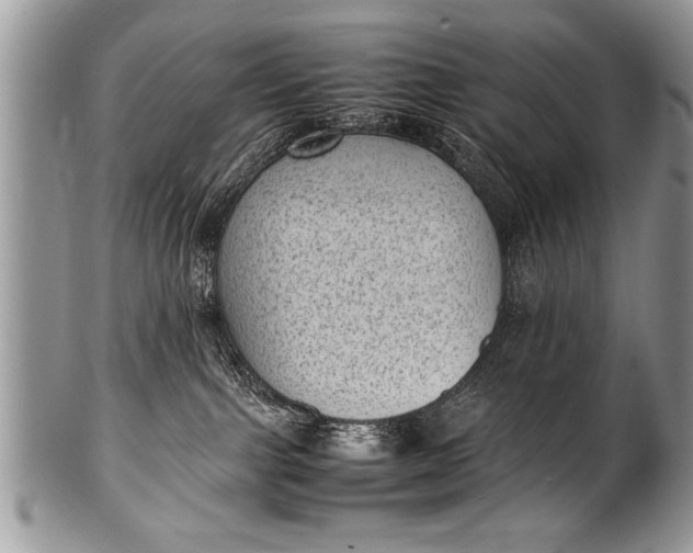 X0000100420091200806201832