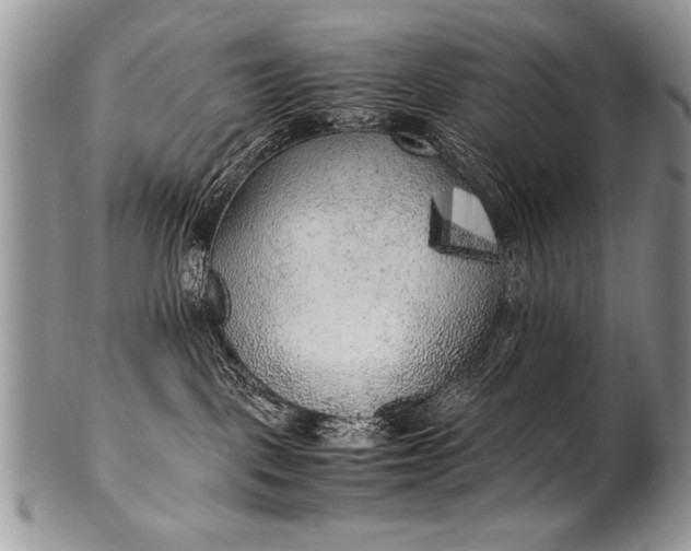 X0000100420093200806201832