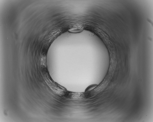 X0000100420096200806201832