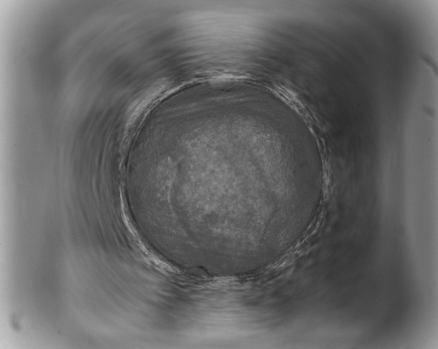 X0000100420097200806201832