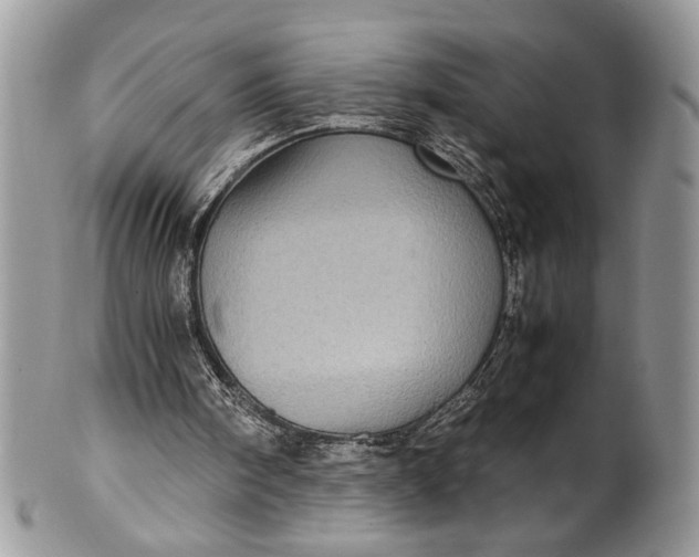 X0000100420098200806201832