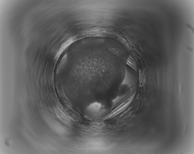 X0000100420099200806201832