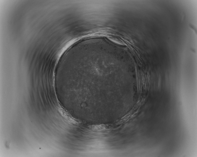 X0000100420100200806201832