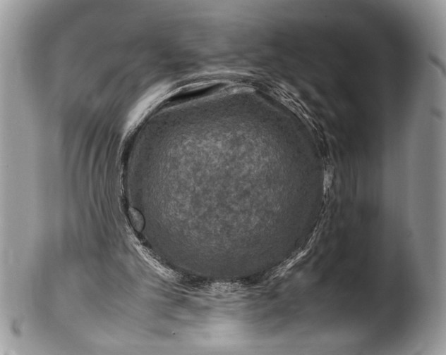 X0000100420101200806201832