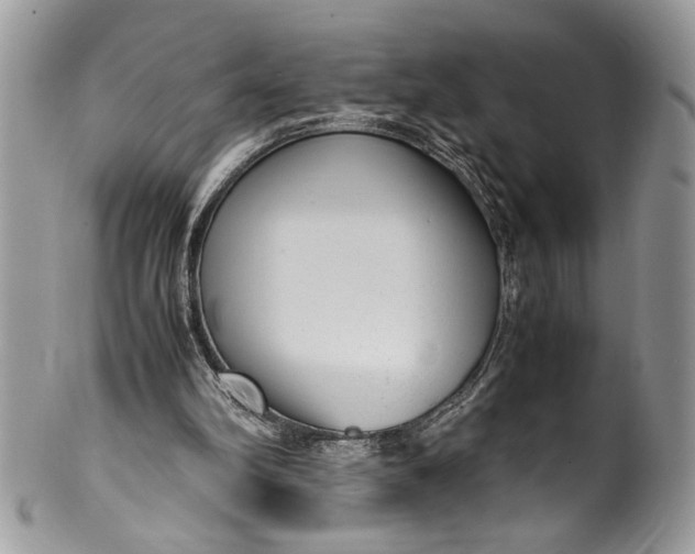 X0000100420102200806201832