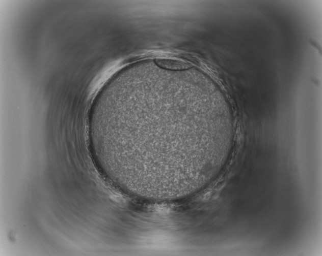 X0000100420103200806201832