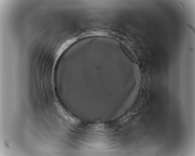 X0000100420104200806201832