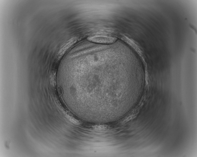 X0000100420105200806201832
