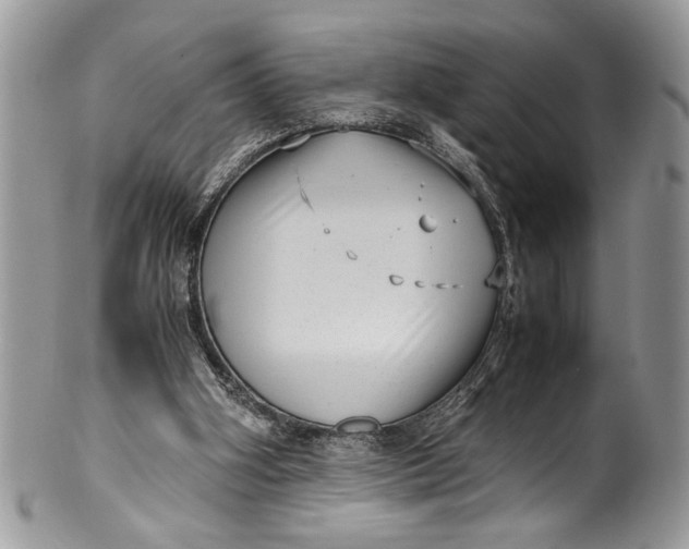 X0000100420106200806201832