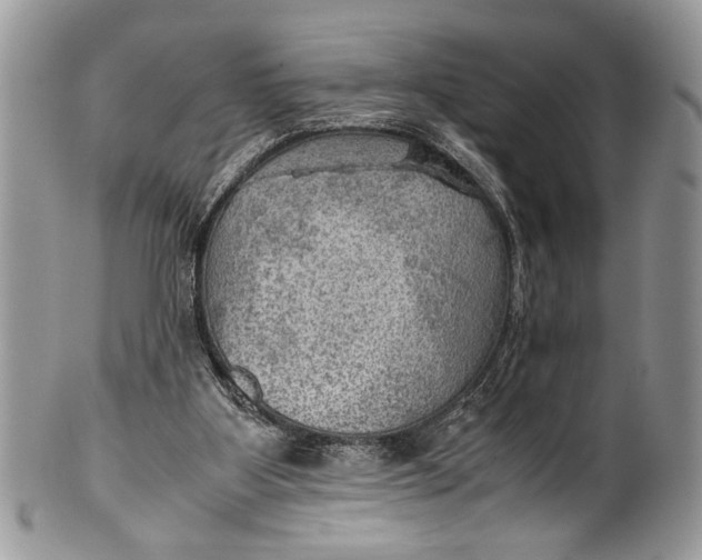 X0000100420107200806201831