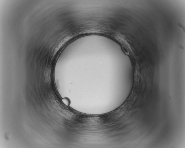X0000100420108200806201831