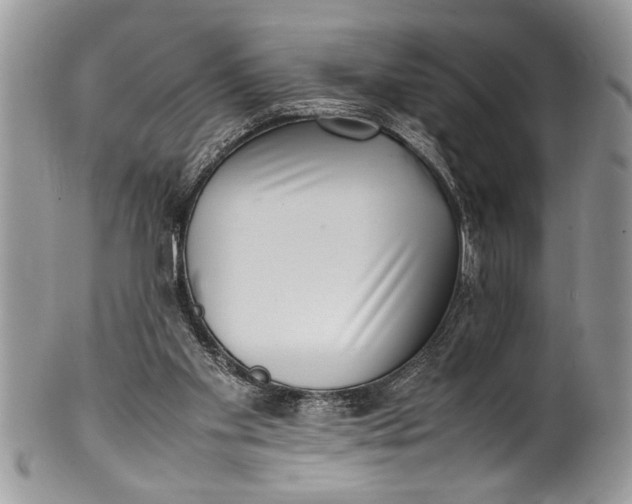 X0000100420109200806201831