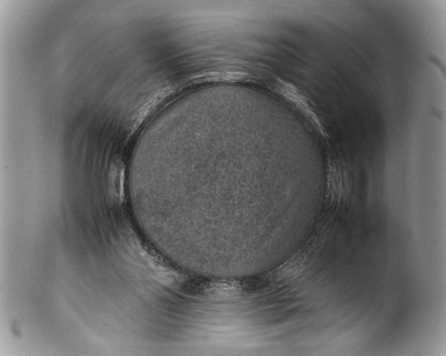 X0000100420110200806201831