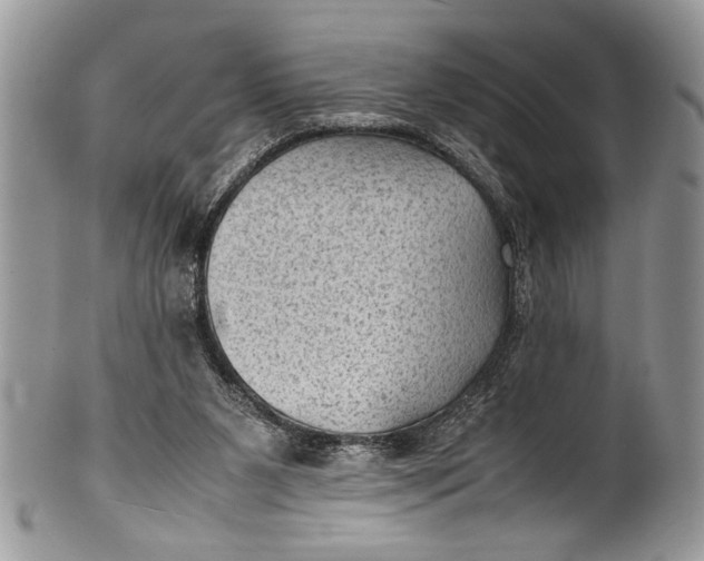 X0000100420111200806201831