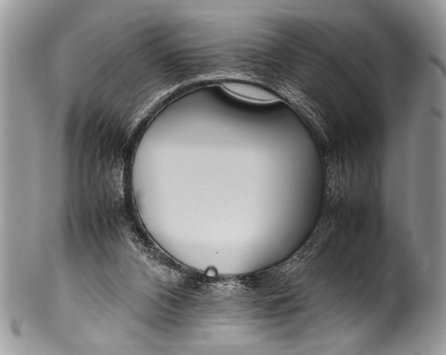 X0000100420112200806201831