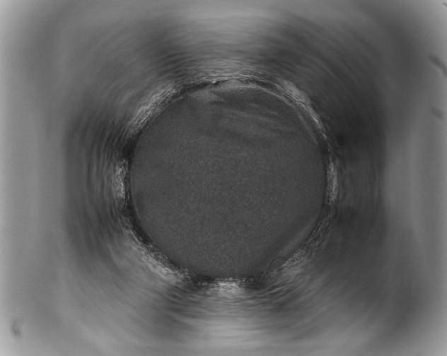 X0000100420114200806201831