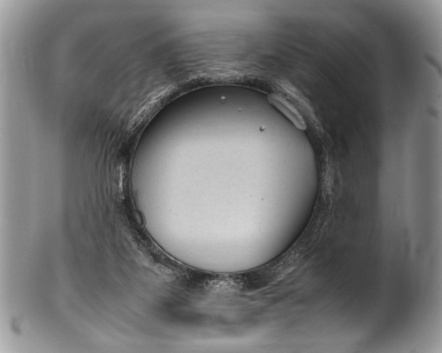X0000100420115200806201831