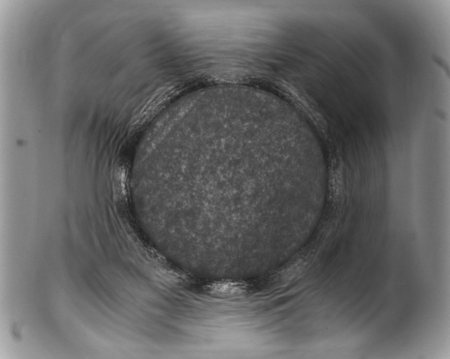 X0000100420117200806201831