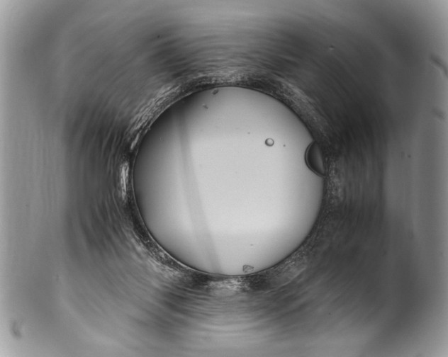 X0000100420118200806201831