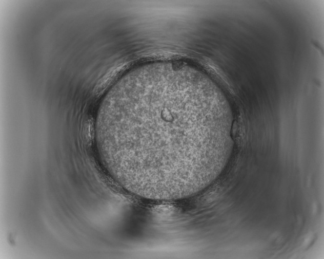 X0000100420119200806201831