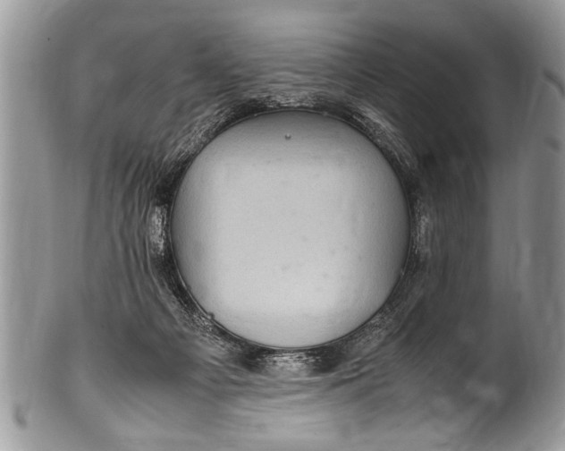 X0000100420121200806201831