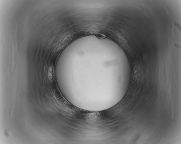 X0000100420122200806201831