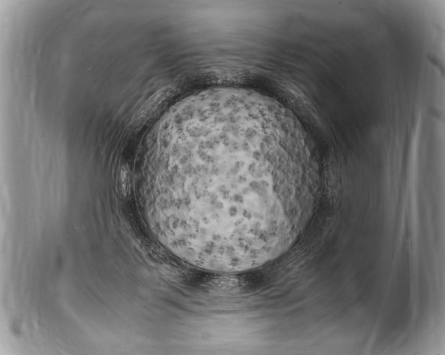 X0000100420123200806201831