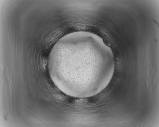 X0000100420125200806201831