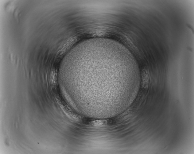 X0000100420126200806201831