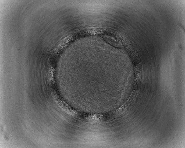 X0000100420128200806201831