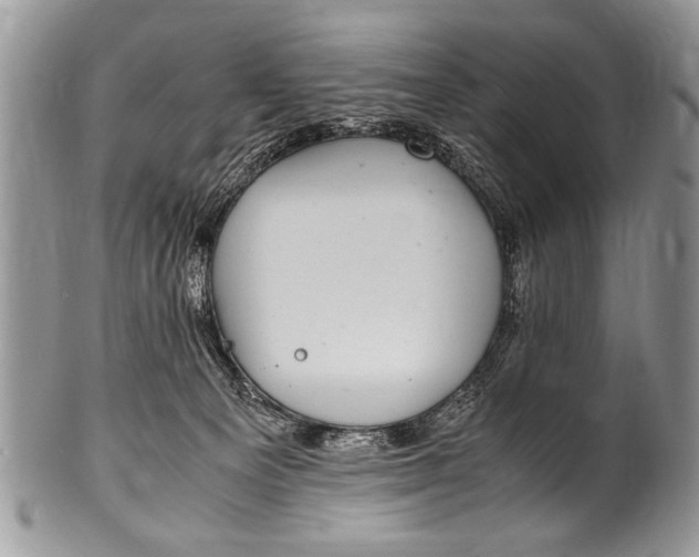 X0000100420129200806201831