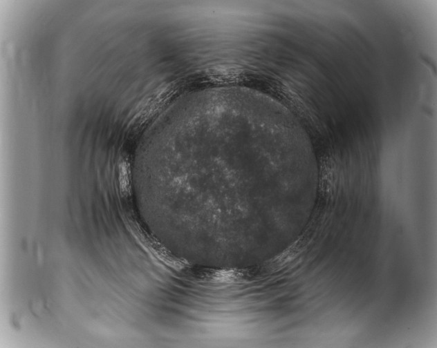X0000100420130200806201831