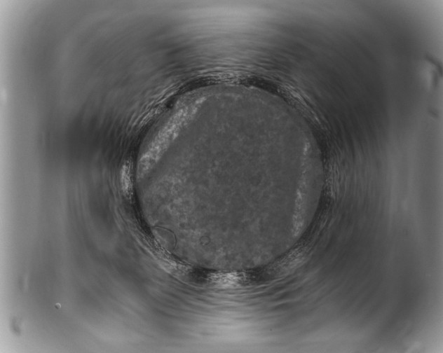 X0000100420131200806201831