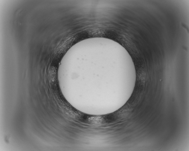X0000100420133200806201831