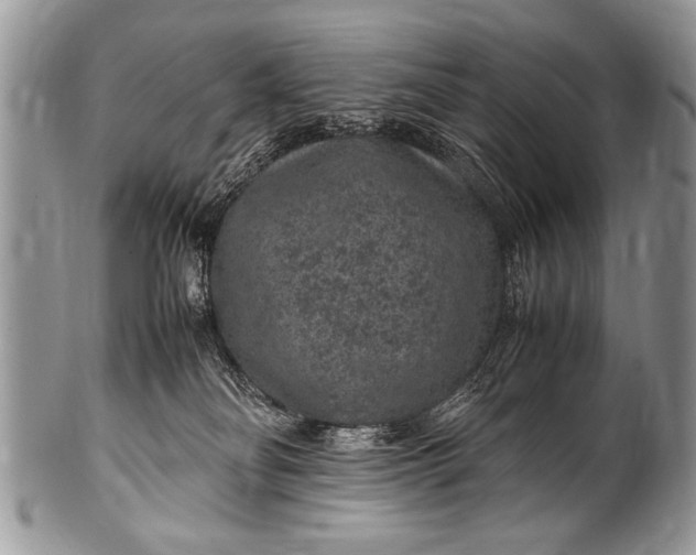 X0000100420134200806201831