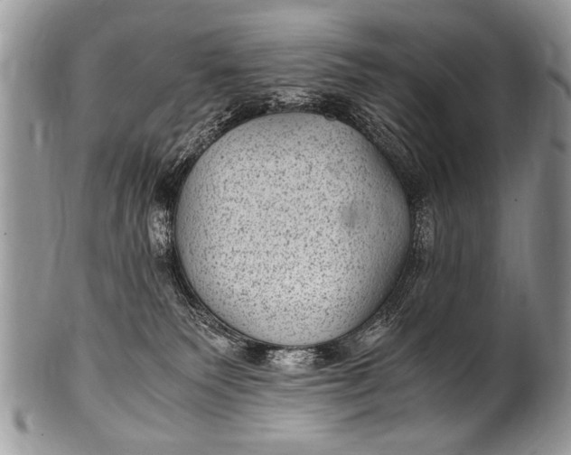 X0000100420135200806201831