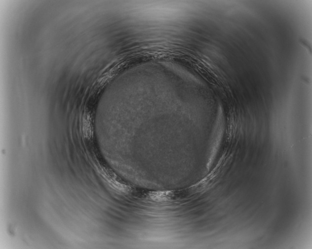 X0000100420136200806201831