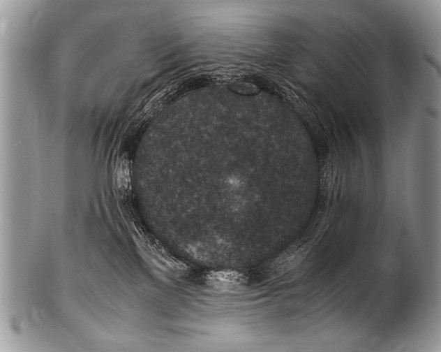 X0000100420137200806201831