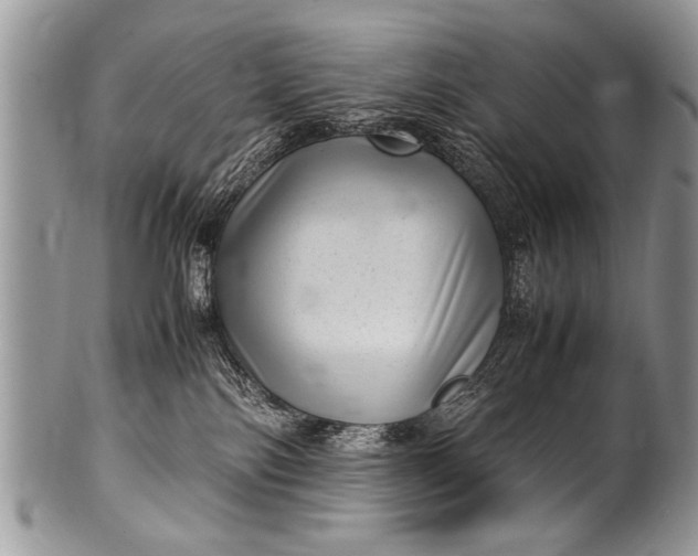 X0000100420138200806201831