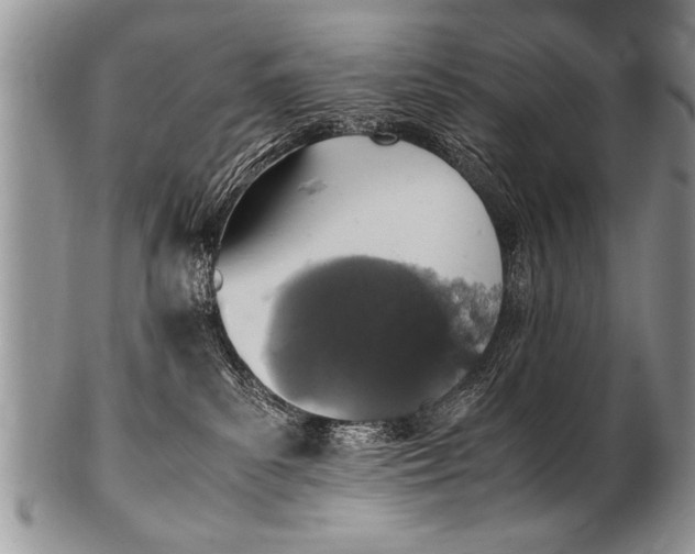 X0000100420139200806201831