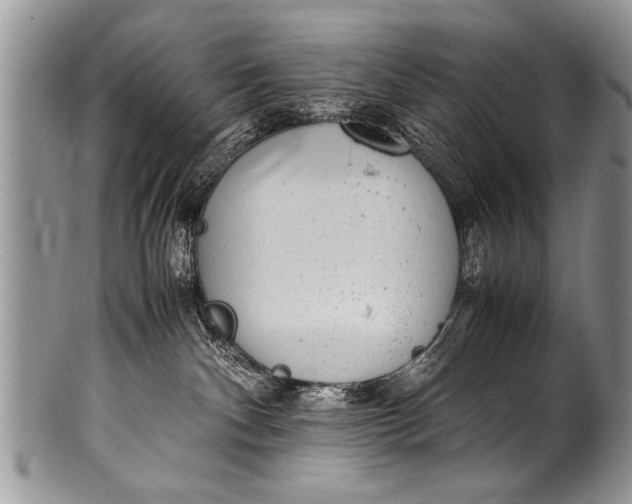 X0000100420140200806201831